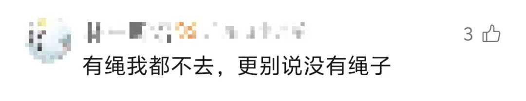 该安全网四, 疑其安全性